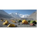Frame Tents