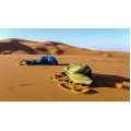 Sleeping Bag